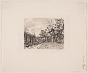 Waldpartie