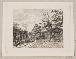 Waldpartie
