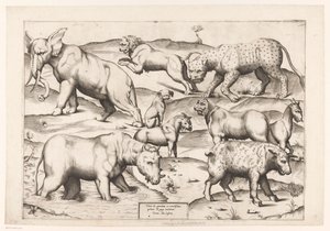 Neun Tiere von Enea Vico (attributed to)