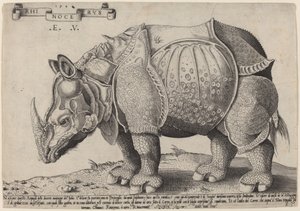 Nashorn