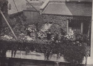Ein Dachgarten