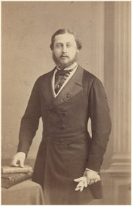 Albert Edward, Prinz von Wales von English Photographer