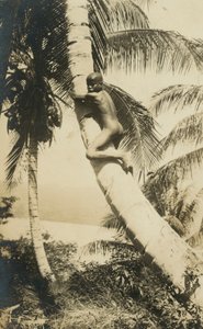 Junge, der auf einen Baum klettert, Constant Bay, Jamaika