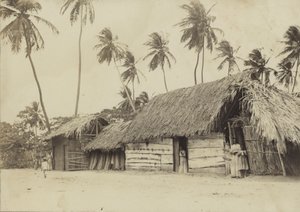Bridgetown, Barbados, Hütten von English Photographer