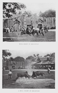 Stierkampf in Kelantan von English Photographer