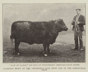 Champion-Tier auf der Smithfield Club Show und auf der Birmingham Show von English Photographer