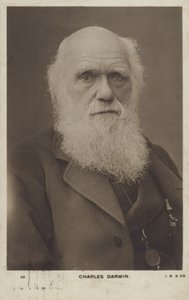 Charles Darwin (1809-1882), englischer Naturforscher von English Photographer