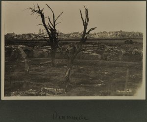 Dixmude, ca. 1916-19