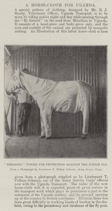 Ponys zum Schutz gegen die Tsetsefliege vorbereiten