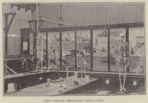 Grant Museum, Merchiston Castle School (Gravur) von English Photographer