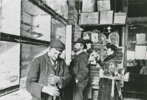 Haustierladen in der Great Portland Street von English Photographer