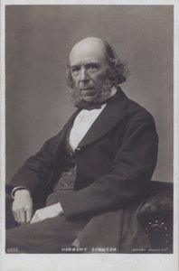 Herbert Spencer (s/w Foto) von English Photographer