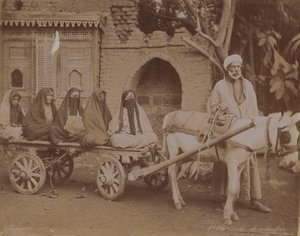 Pferdewagen, Kairo, 1893 von English Photographer