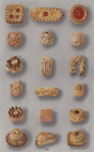 Illustration für Marzipan-Broschüre von English Photographer