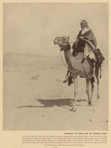 Lawrence von Arabien auf seinem berühmten Kamel von English Photographer