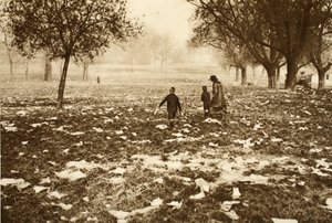 Mit Müll übersäte Wiese auf Hampstead Heath am Tag nach einem Feiertag, aus Wonderful London, veröffentlicht 1926-27 von English Photographer