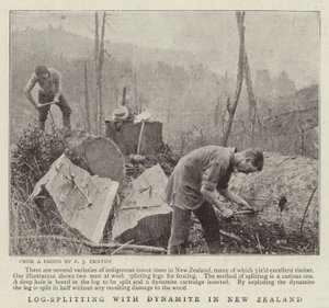 Holzspaltung mit Dynamit in Neuseeland von English Photographer