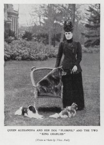 Königin Alexandra mit ihrem Hund Plumpie und ihren zwei King-Charles-Spaniels von English Photographer