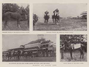 Szenen in Ascot, 1901 von English Photographer