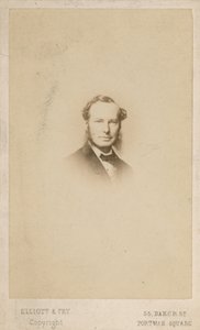 Sir John Tenniel, Künstler