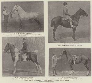 Einige Preisträger auf der Royal Dublin Horse Show
