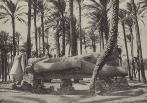 Statue von Ramses II., liegend in der Stadt, von der Jeremia sagte, sie solle ohne Einwohner sein
