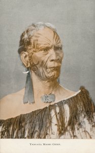 Tangata Maori Häuptling