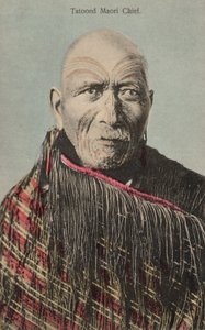 Tätowierter Maori Häuptling