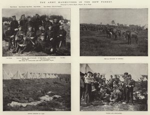 Die Armeemanöver im New Forest