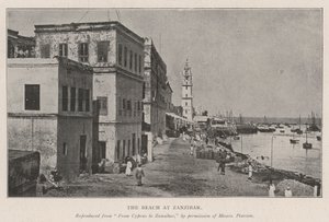 Der Strand von Sansibar von English Photographer