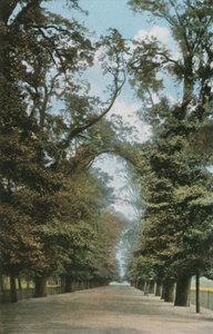 Der Broad Walk von English Photographer