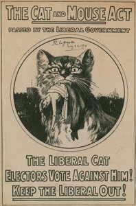Das Katzen-und-Maus-Gesetz von English Photographer