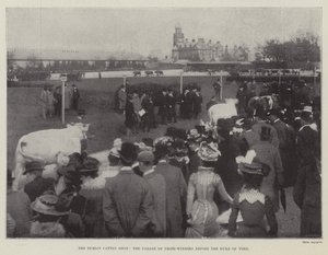 Die Dubliner Viehschau, die Parade der Preisträger vor dem Herzog von York