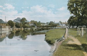 Die Ulmen und der Fluss Themse bei Abingdon von English Photographer