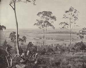 Die Emu Plains von English Photographer