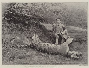 Der erste Tiger, erschossen von Prinz Bughwan Singh, zwölf Jahre alt von English Photographer