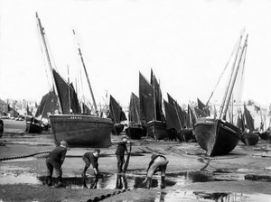 Die Fischereiflotte im Hafen von St Ives, um 1880-99 von English Photographer