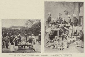 Das Impfstoffinstitut der Regierung von Madras, Bangalore