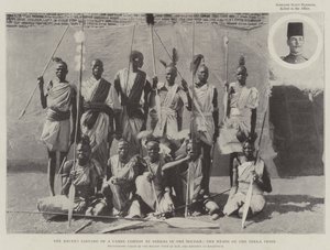 Die jüngste Plünderung eines Kamelkonvois durch Dinkas im Sudan, die Häuptlinge des Dinka-Stammes