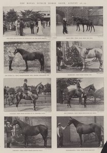 Die Royal Dublin Horse Show, 26.-29. August von English Photographer