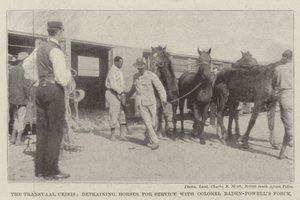 Die Transvaal-Krise, Pferde werden für den Dienst bei Colonel Baden-Powells Truppe entladen von English Photographer