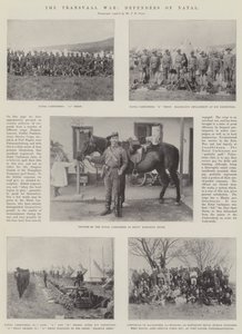 Der Transvaal-Krieg, Verteidiger von Natal
