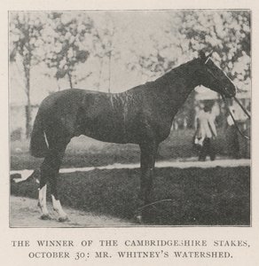 Der Gewinner der Cambridgeshire Stakes, 30. Oktober, Mr. Whitneys Watershed