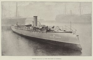 Torpedoboot Nr. 79, mit der Flotte in Spithead von English Photographer