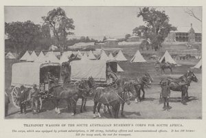 Transportwagen des South Australian Bushmens Corps für Südafrika von English Photographer