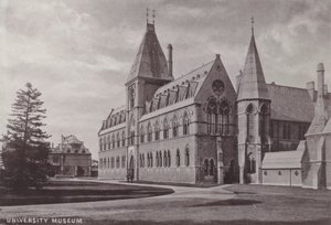 Universitätsmuseum