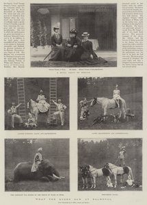 Was die Königin in Balmoral sah von English Photographer