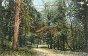Windsor Great Park, Virginia Water von English Photographer
