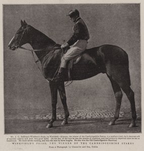 Winkfields Pride, der Gewinner der Cambridgeshire Stakes von English Photographer