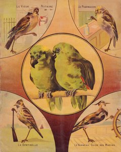 Rückseite: Vogelpaar und andere Vögel, englisch von English School